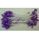 Stamens - Purple