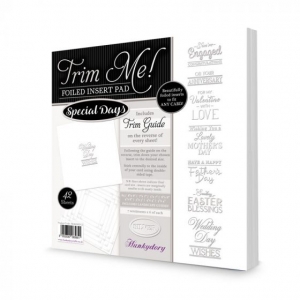 https://www.jjdcards.com/store/5790-10465-thickbox/hunkydory-trim-me-foiled-insert-pad-special-days-silver.jpg