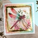 Hunkydory - The Square Little Book of Dragonflies