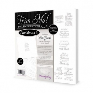 https://www.jjdcards.com/store/5970-10800-thickbox/hunkydory-trim-me-foiled-insert-pad-special-moments-silver.jpg