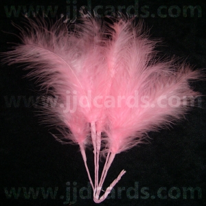 https://www.jjdcards.com/store/600-1686-thickbox/long-stemmed-feathers-pink.jpg