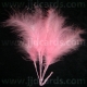 Long Stemmed Feathers - Pink