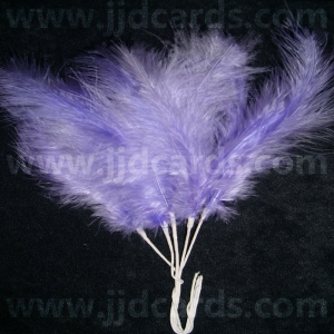 https://www.jjdcards.com/store/601-1687-thickbox/long-stemmed-feathers-lilac.jpg