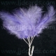 Long Stemmed Feathers - Lilac