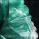 Organza - Scalloped Edge - Green/Silver