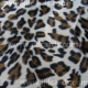 Animal Prints - Snow Leopard