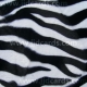 Animal Prints - Zebra