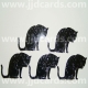 Sitting Black Cats